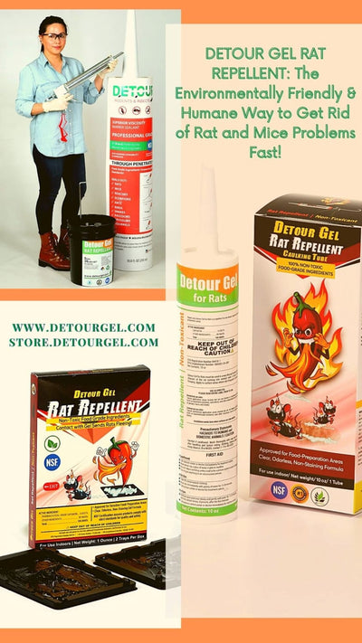 DETOUR RAT REPELLENT GEL is amazing!!!